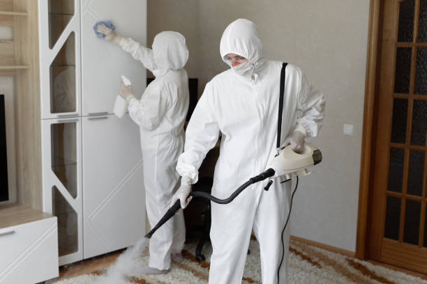 Professional Mold Removal in Castalia, OH