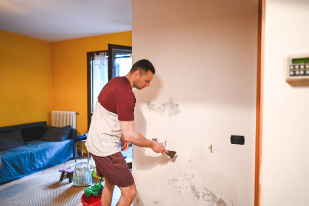 Best Mold Testing  in Castalia, OH